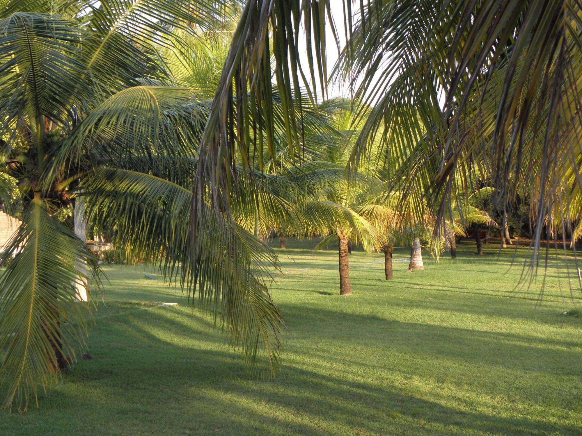 Hotel Praia Dourada Maragogi Exteriér fotografie